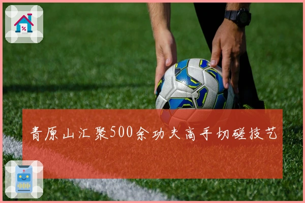 青原山汇聚500余功夫高手切磋技艺