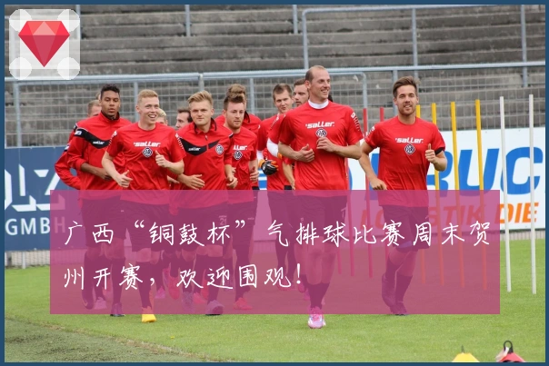 广西“铜鼓杯”气排球比赛周末贺州开赛，欢迎围观！