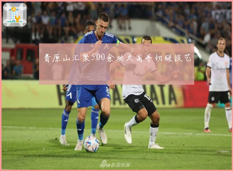 青原山汇聚500余功夫高手切磋技艺