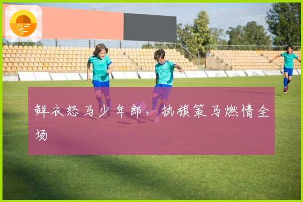 鲜衣怒马少年郎，执旗策马燃情全场